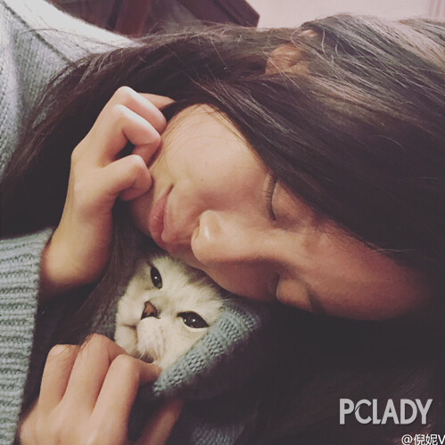 《爱宠大机密》满满是爱萌出血 范冰冰Baby倪妮铲屎官们一起嗨！